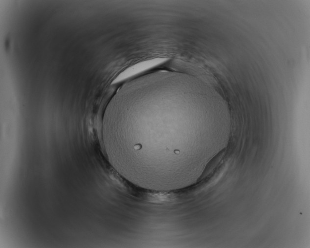 X0000087330432200705112200