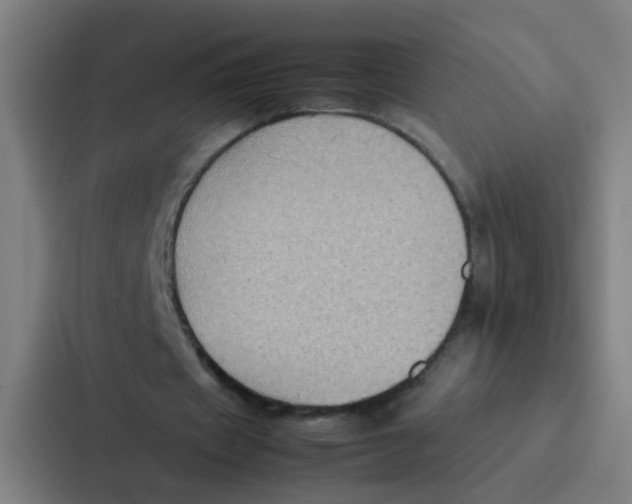 X0000087330433200705112200