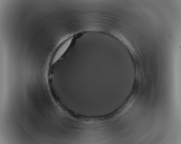 X0000087330434200705112200