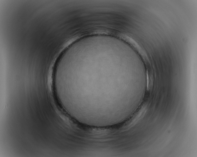 X0000087330435200705112200