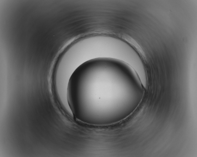 X0000087330436200705112200