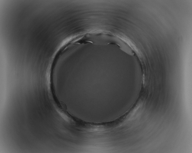 X0000087330438200705112200