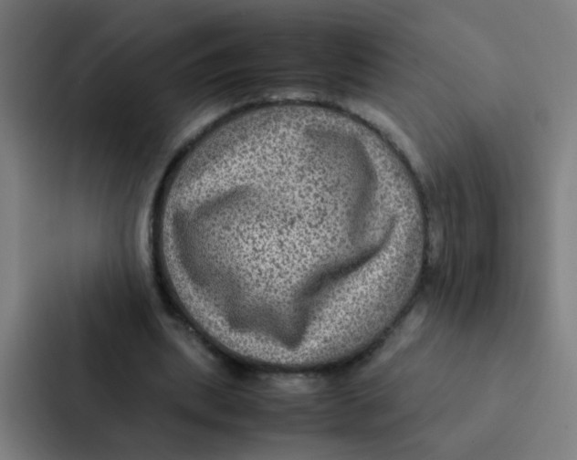 X0000087330439200705112200