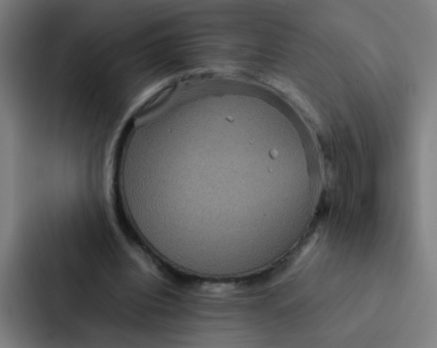 X0000087330440200705112200