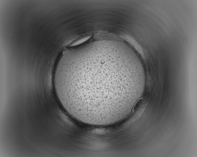 X0000087330441200705112200