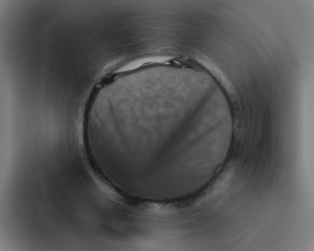 X0000087330442200705112200