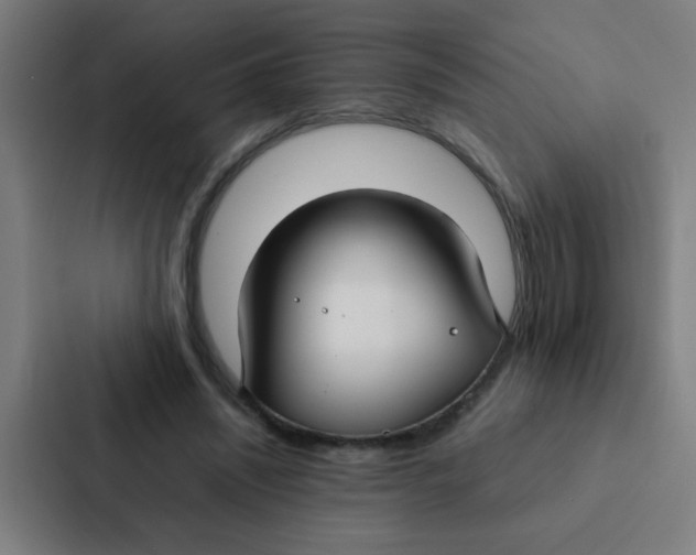 X0000087330444200705112200