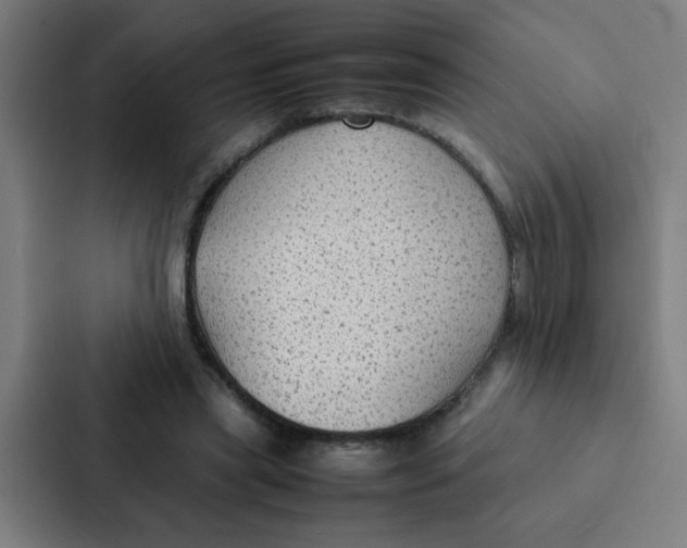 X0000087330445200705112200