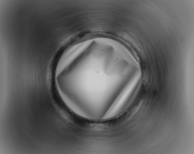 X0000087330448200705112200