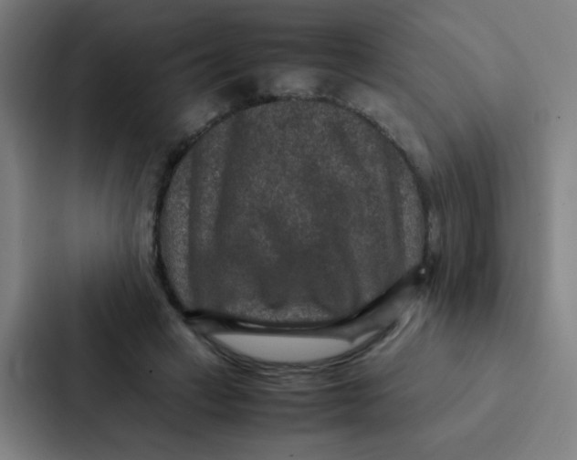 X0000087330449200705112200