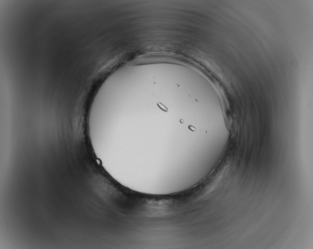 X0000087330450200705112200