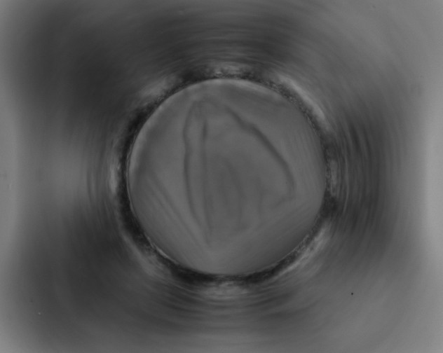 X0000087330451200705112200