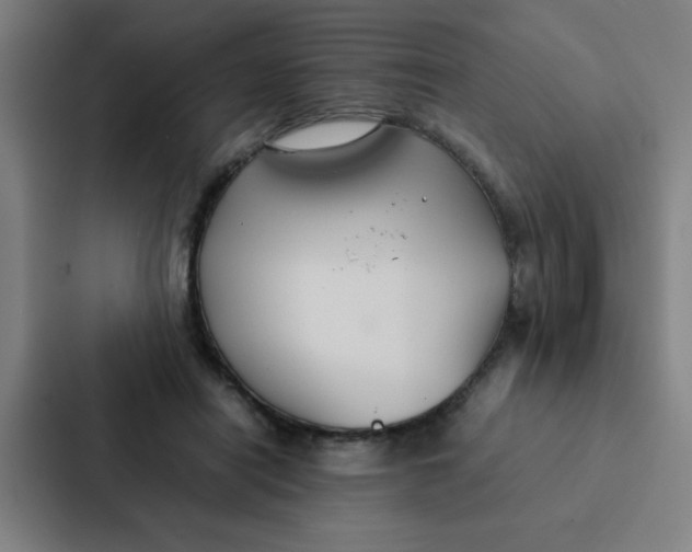 X0000087330454200705112200