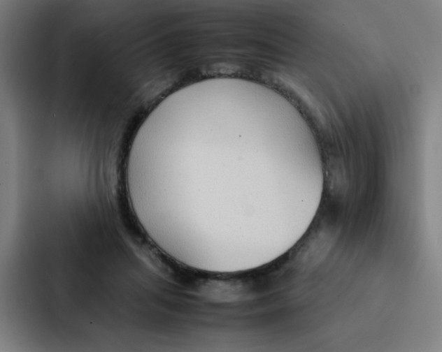 X0000087330455200705112200