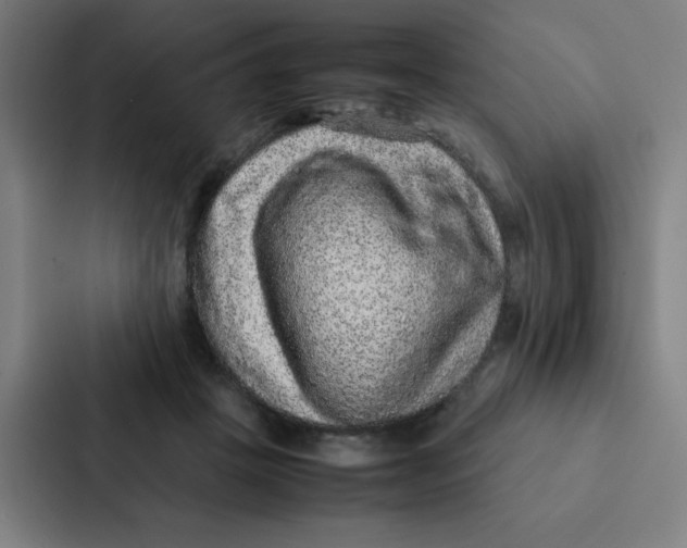 X0000087330457200705112200