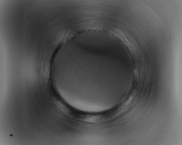 X0000087330458200705112200