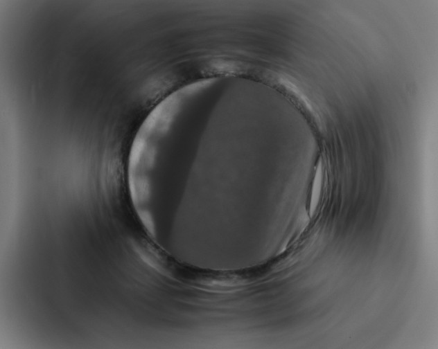 X0000087330459200705112200