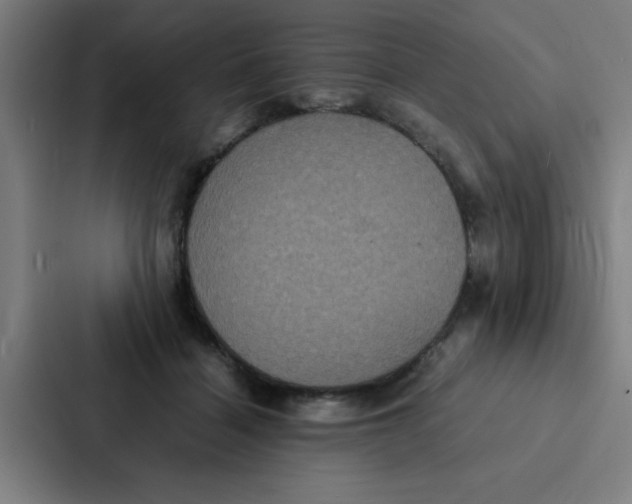 X0000087330460200705112200