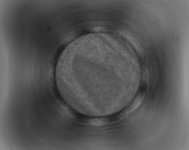 X0000087330461200705112200