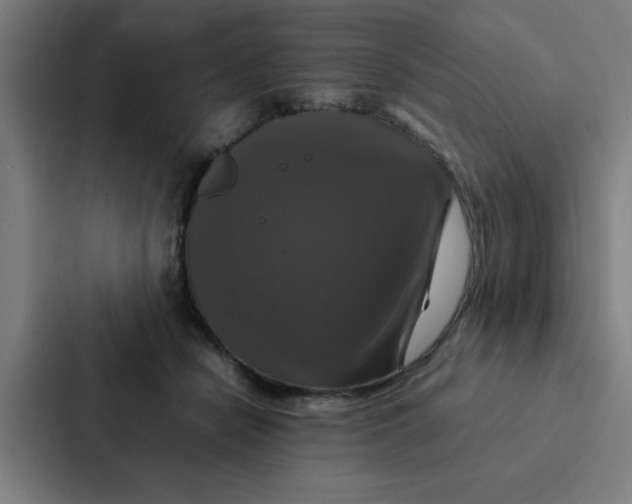 X0000087330462200705112200