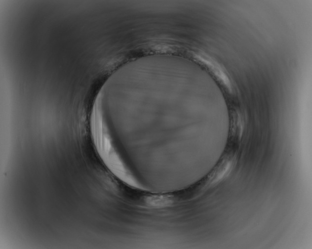X0000087330465200705112200