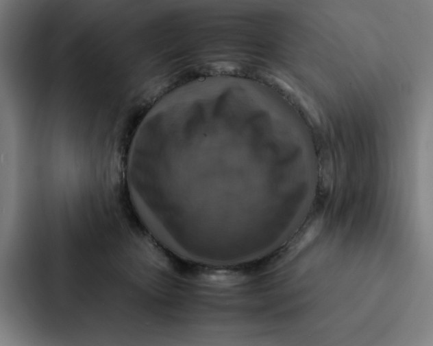 X0000087330467200705112200