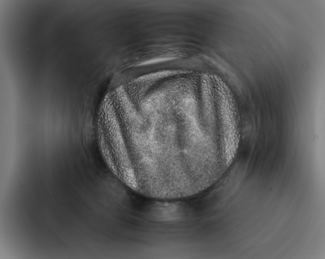 X0000087330469200705112200