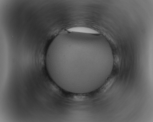 X0000087330470200705112200