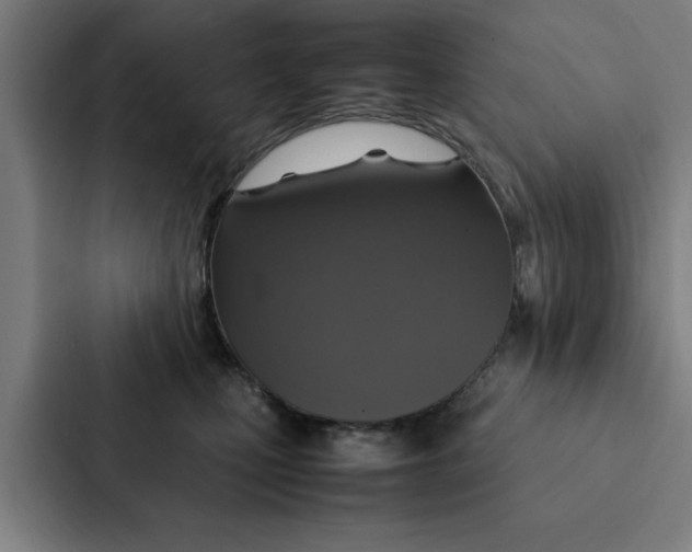 X0000087330471200705112200