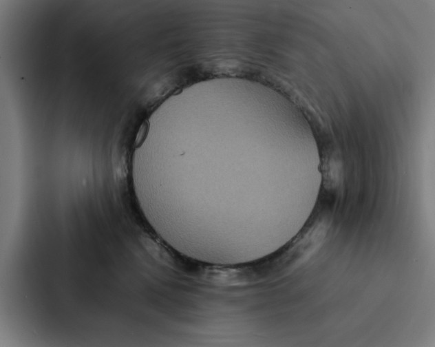 X0000087330472200705112200