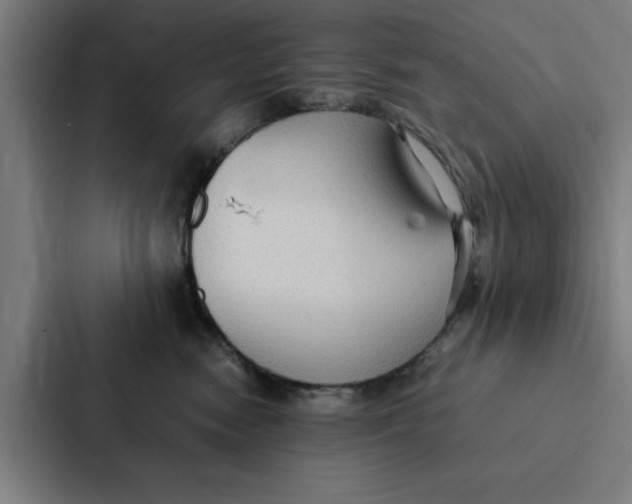 X0000087330474200705112200