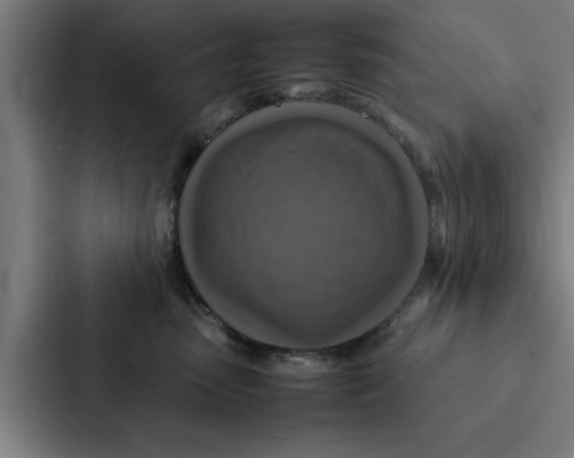 X0000087330475200705112200