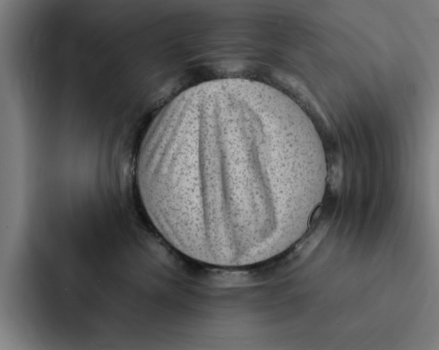 X0000087330476200705112200