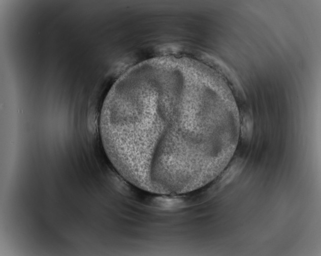 X0000087330477200705112200
