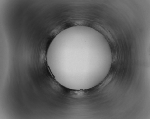 X0000087330478200705112200