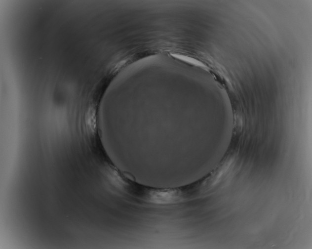 X0000087330479200705112200