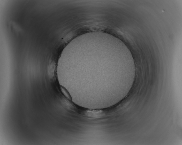 X0000087330480200705112200