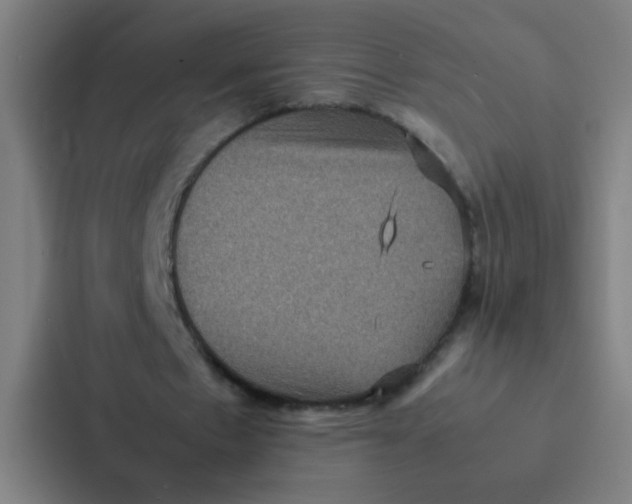 X0000087330481200705112200
