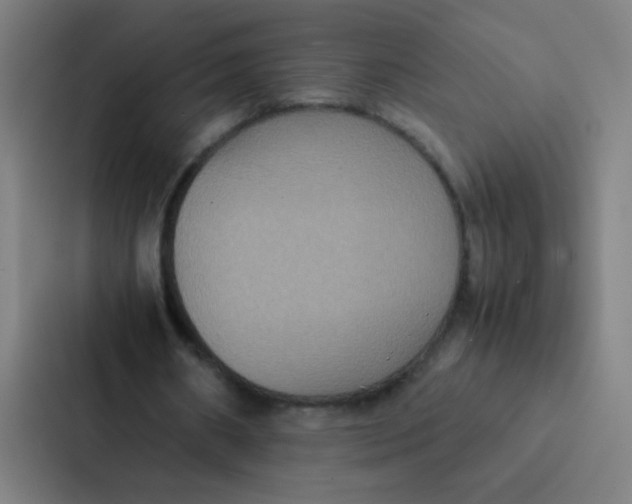 X0000087330482200705112200