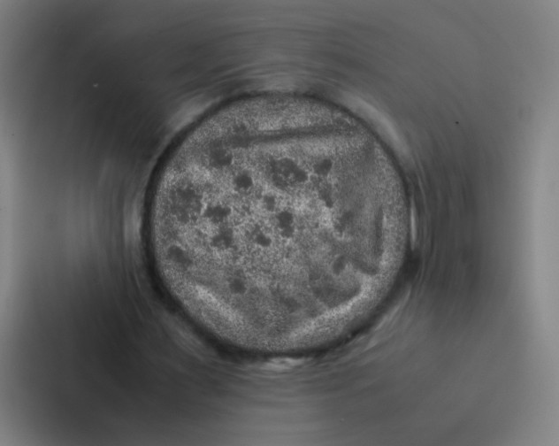 X0000087330483200705112200