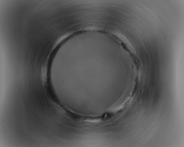 X0000087330484200705112200