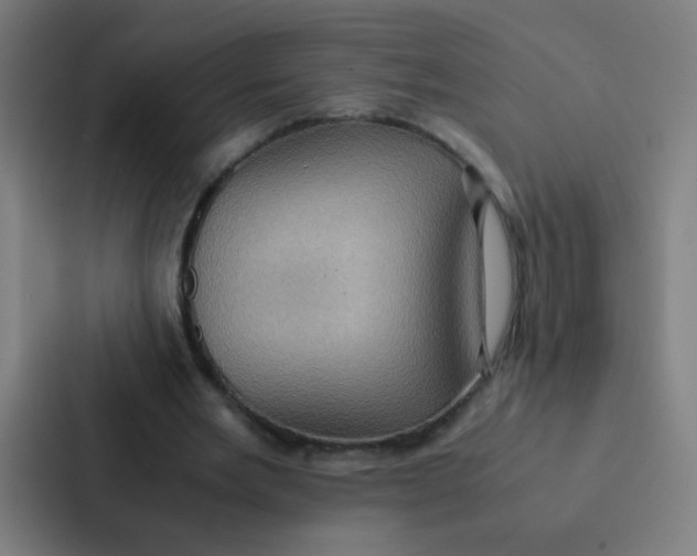 X0000087330485200705112200