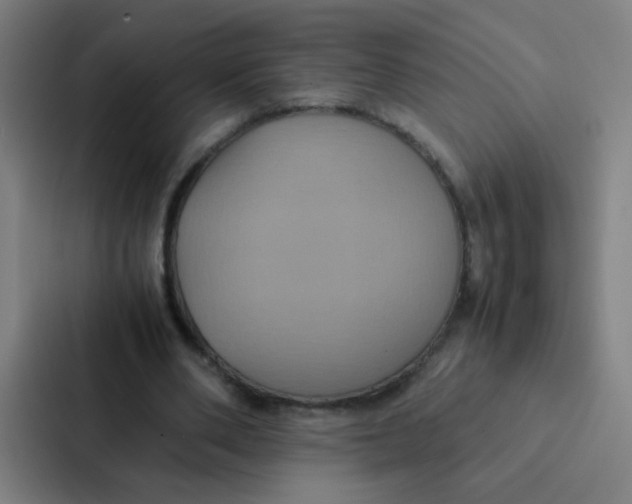 X0000087330486200705112200