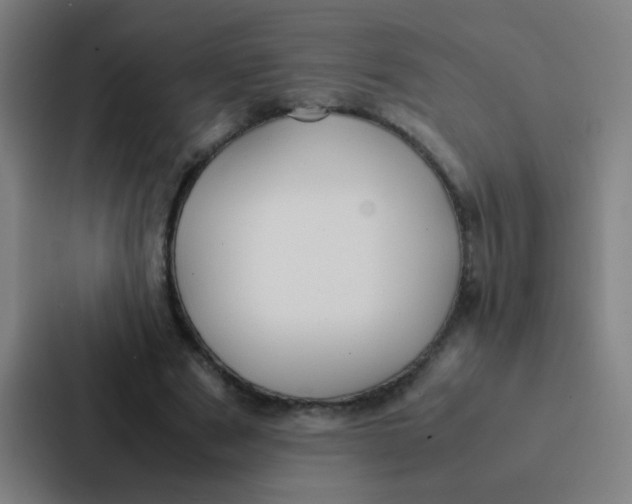 X0000087330489200705112200