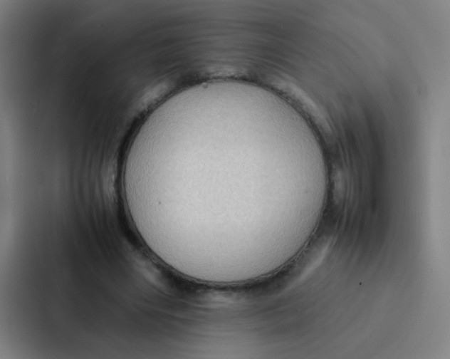 X0000087330490200705112200