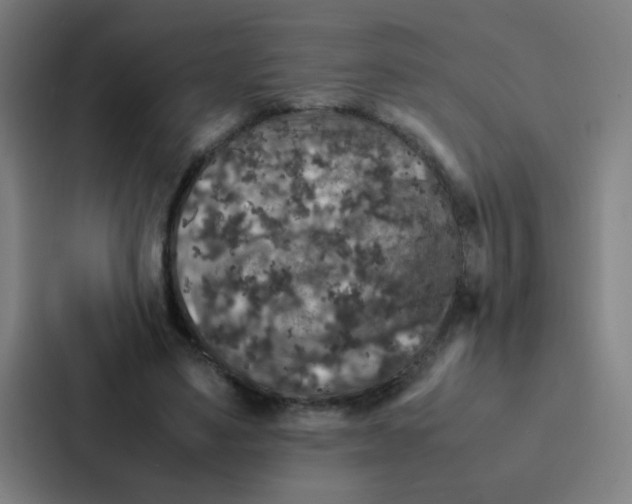 X0000087330491200705112200