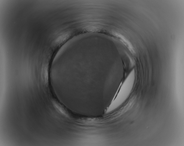 X0000087330493200705112200