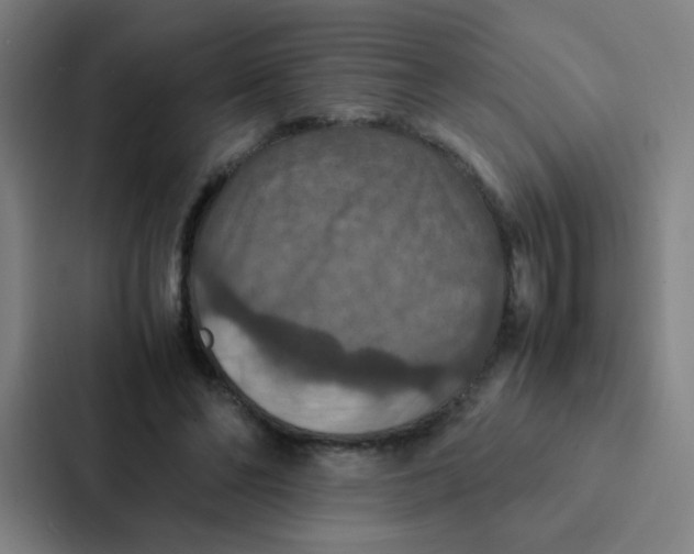 X0000087330494200705112200