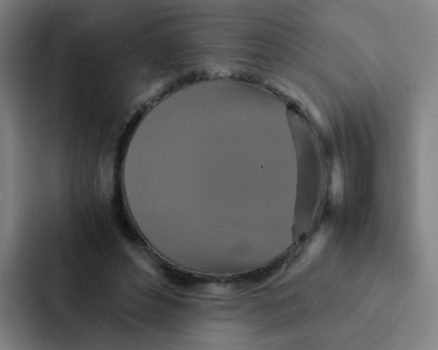 X0000087330496200705112200