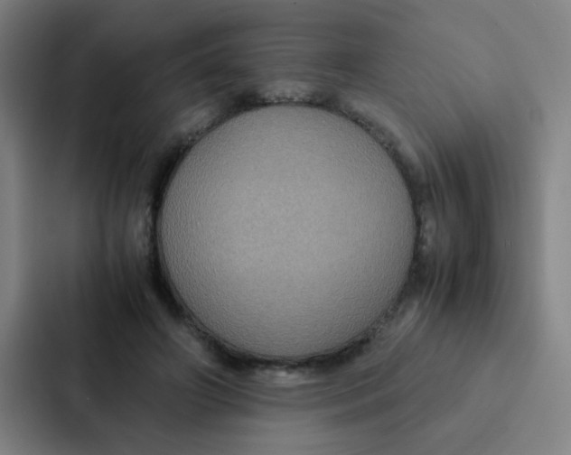 X0000087330498200705112200